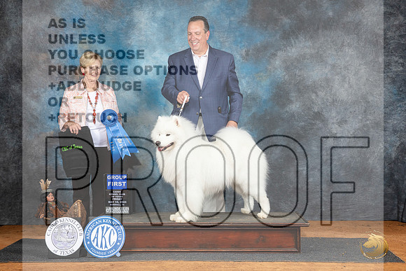 Samoyed #5 Fri G1 Judge Karen Hynnek__JP_7273_MARSHALL_2024_HR3