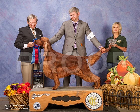 _CL_4694-SanAngelo2014-HR3