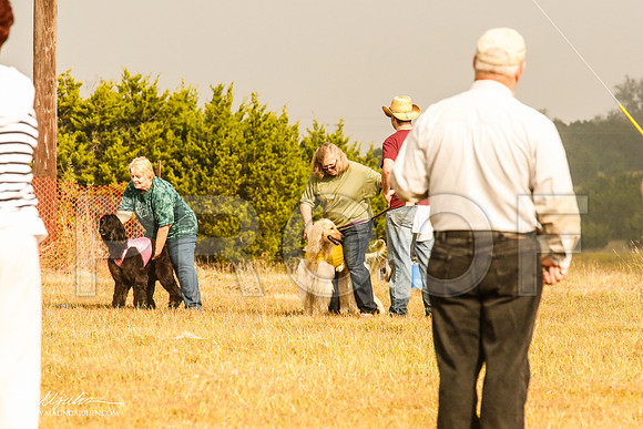 _MJ_3779-AfgBeltonOct2014-HR3