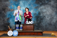 Chihuahua Long Coat #20 Sat BOW Judge Tim Robbins
