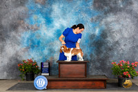 Cavalier King Charles Spaniel #12 Sat WB Judge Christine Martinez