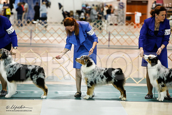 _JJ_7175-ASCACollegeStationNov2014-HR3