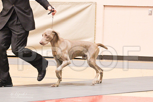 Weim-4218LR