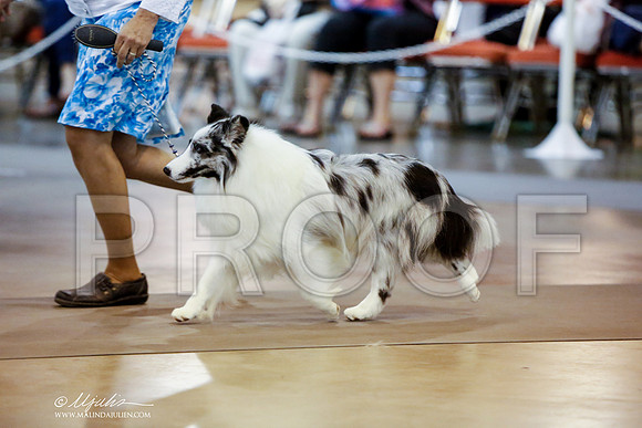_JN_1070-HstnJul2014-HR3