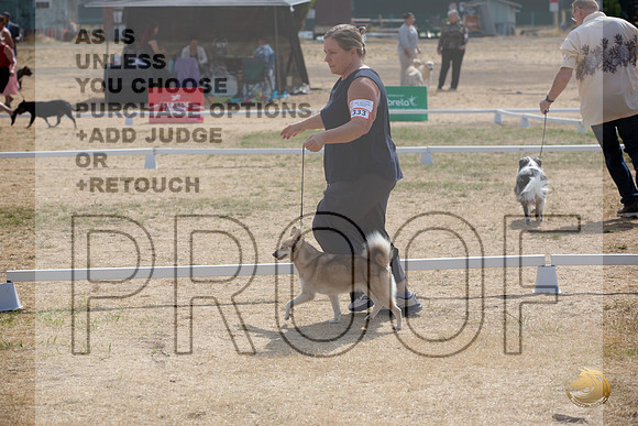 Ringside Longview WA 2024 Alaska Klee Kai #333_JJL_3548_Longview WA_2024_HR3