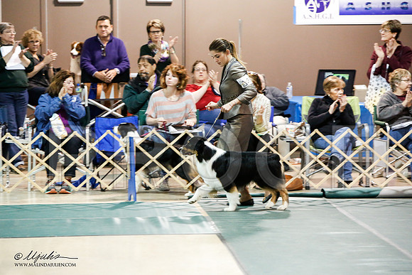 _JJ_8467-ASCACollegeStationNov2014-HR3