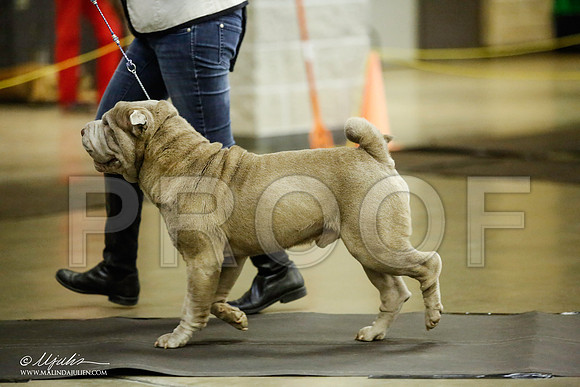 _JJ_5737-BeltonJan2015IABCA-HR3