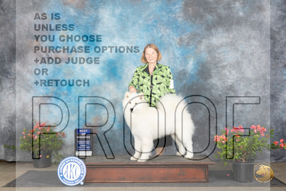 Samoyed #8 Fri BOW Judge Paul F Willhauck r__JP_6095_San Antonio_2024_HR3