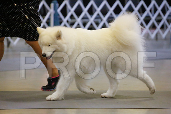 _JJ_9488-AmarilloSept2014-HR3
