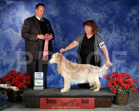 SweepsVet-6306-WFOct2013-HR