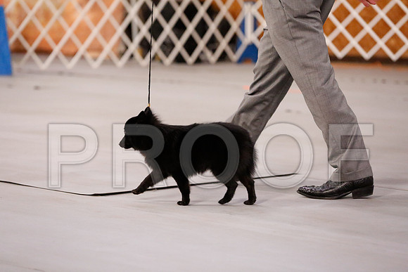 _RH_7857-CarlrolltonSept2014-HR3