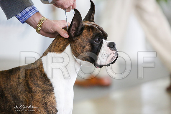 _JJ_0200-DallasJul2014-HR3