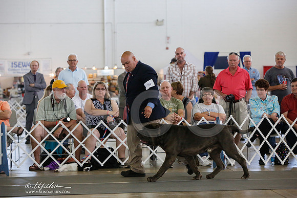 _JJ_1912-DallasJul2014-HR3