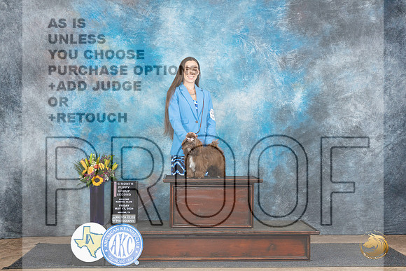 Shih Tzu #12 Fri PG2 Judge Janet Parcel__JP_9346_Abilene_2024_HR3