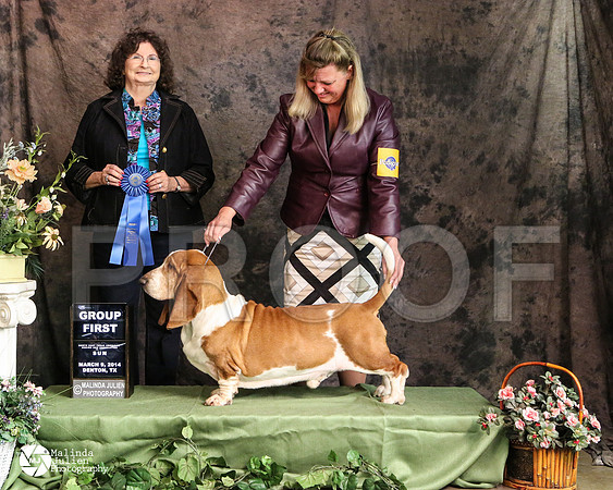 basset-3551-DntnMar14-HR3