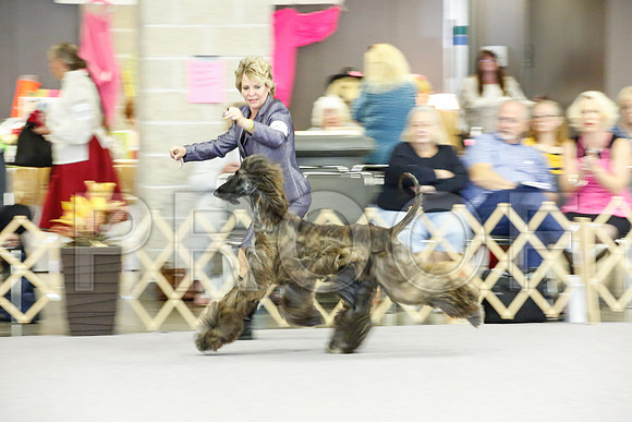 _JJ_0414-AfgBeltonOct2014-HR3