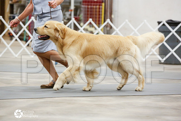 _JN_1248-AblnMay2014-web
