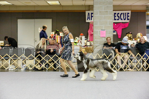 _JJ_8845-AfgBeltonOct2014-HR3