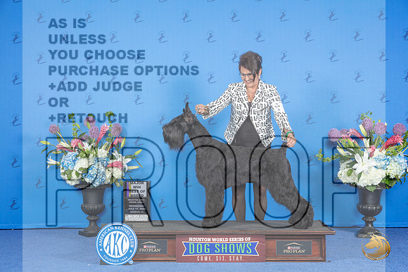 Schnauzer Giant # FRI BOB M Judge Douglas Johnson__JP_9618_Houston_2024_HR3