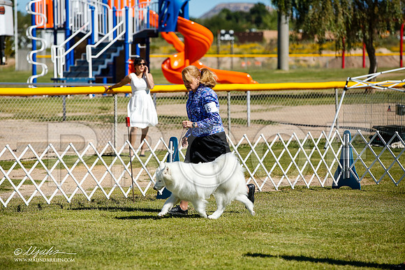 _JJ_9927-AlamogordoOct2014-HR3