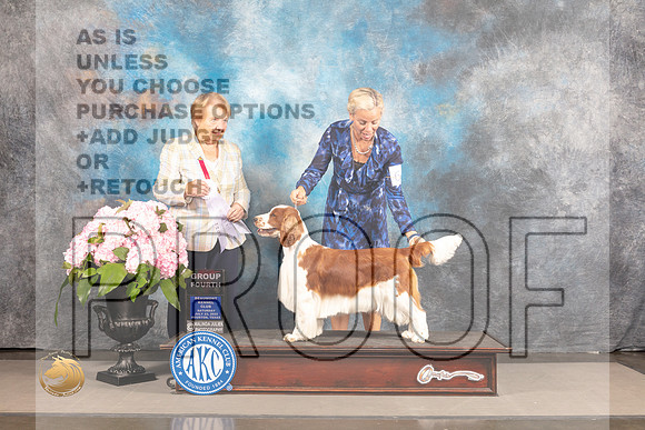 Welsh Springer Spaniel #6 Sat G4 Judge Polly Smith_MJ_7297_Houston_2022_HR3