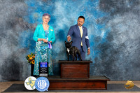 French Bulldog #12 Fri BOW Judge Sharol Candace Way
