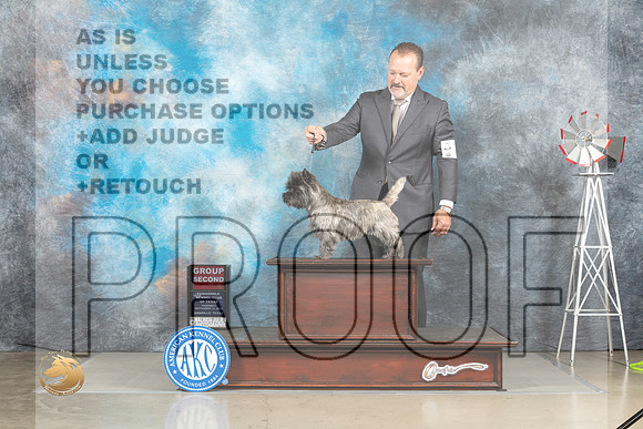Carin Terrier #6 Thur G2 Judge Sharon Derrick_MJ_3592_Amarillo_2022_HR3