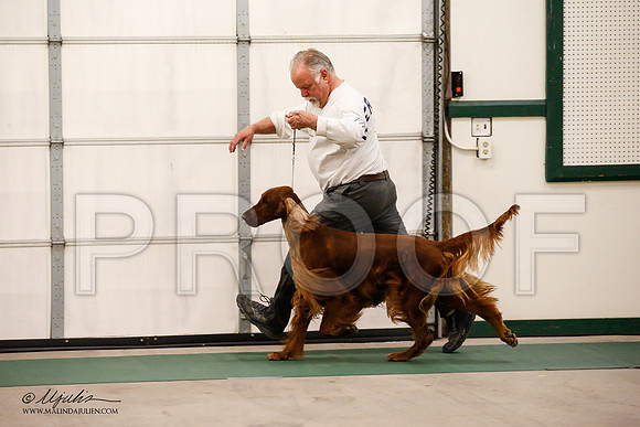 _JN_0875-NrmnNov2014-HR3