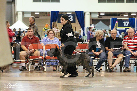 Cane-0319 PROOF