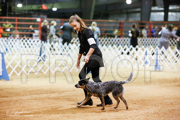 _JN_4382-2-GlenRoseJan2015-HR3