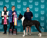 Amy Perkins UKC MWC 2024