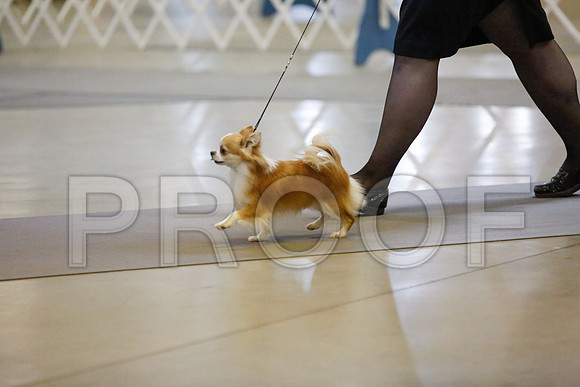 _JJ_8714-AmarilloSept2014-HR3