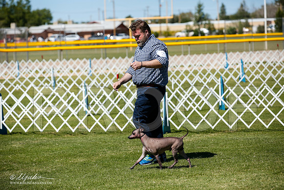 _JJ_8242-AlamogordoOct2014-HR3