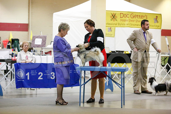 _JJ_8255-AmarilloSept2014-HR3
