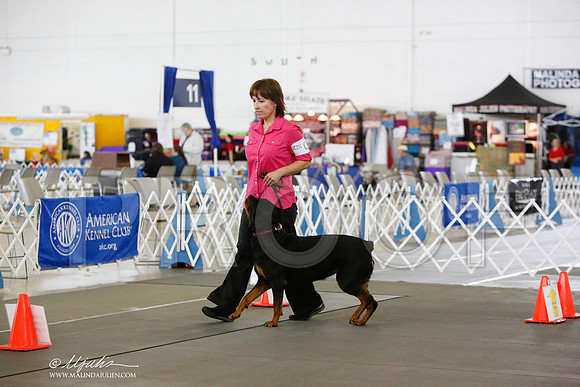_JN_8671-DallasJul2014-HR3