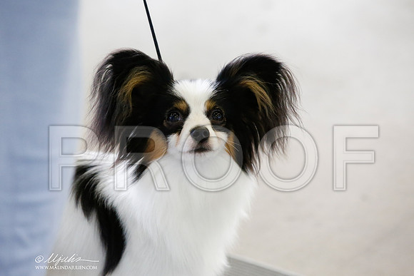 _CK_5247-DallasJul2014-HR3