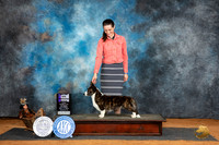 Cardigan Wlesh Corgi #8 Sat WBM Judge Denise Dean