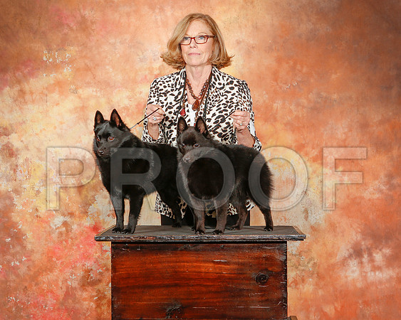 _ST_2547-2-CarlrolltonSept2014-HR3