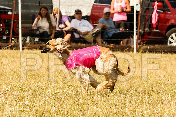 _MJ_4666-AfgBeltonOct2014-HR3