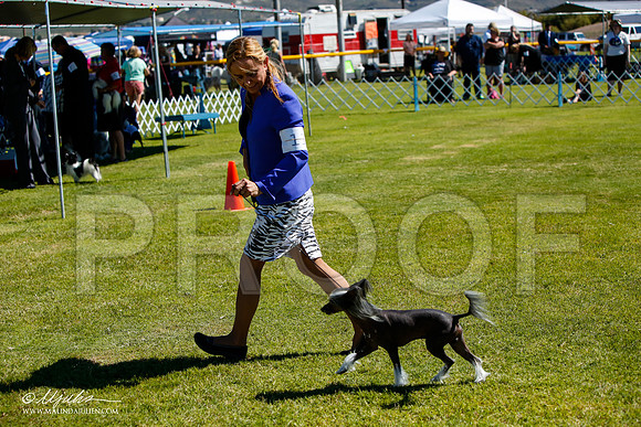 _JJ_5363-AlamogordoOct2014-HR3