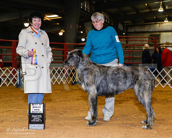 _RH_8917-2-GlenRoseJan2015-HR3