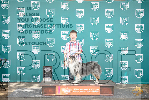 Miniature American Shepherd #801 Fri Jr 2nd Judge Malinda Julien __JP_1093_Longview WA_2024_HR3
