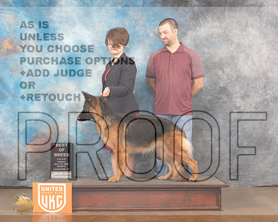 German Shepherd Dog #283 Fri2 BOBBOW Judge Monique LaPierreMMJ_5415_Lngvw2022HR3