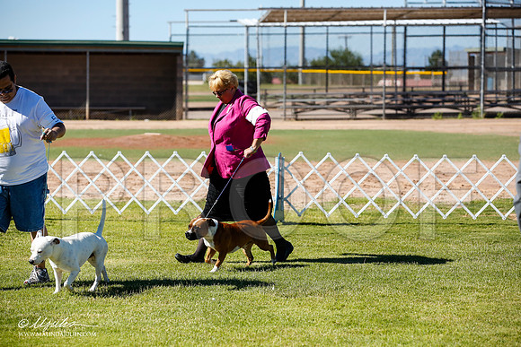 _JN_4387-AlamogordoOct2014-HR3