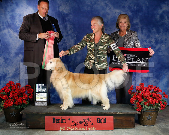 Vet-6246-WFOct2013-HR