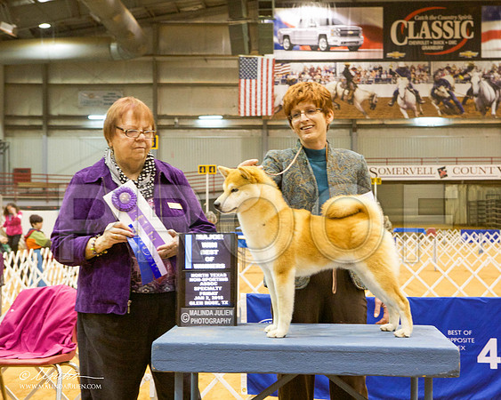 _MJ_5203-GlenRoseJan2015-HR3