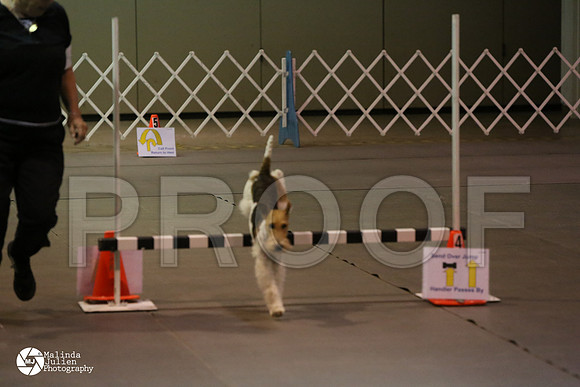 MJ2_0436-MsqtApr14-HR3
