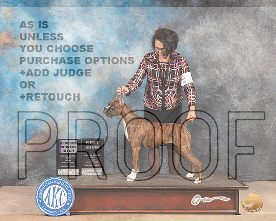 Boxer #8 Fri RWB Judge Joan Liebes-MMJ_3020-Addison2022-HR3