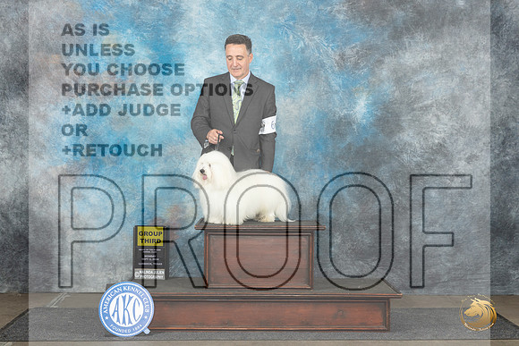 Coton #6 Mon G3 Judge David Bolus__JP_4468_Lubbock_2024_HR3