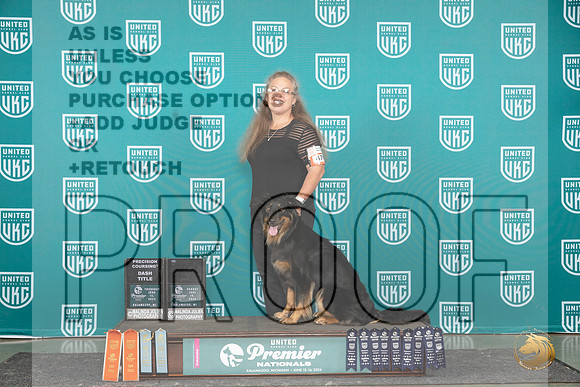 English Shepherd #476 see card__JP_2961_Premier_2024_HR3